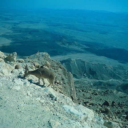 Ramon Inn By Isrotel Collection Mitzpe Ramon Eksteriør bilde